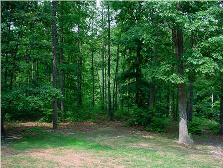 216 Coffman Springs Road LaFayette, GA 30728 - Photo 8 of 9 Additional Photo