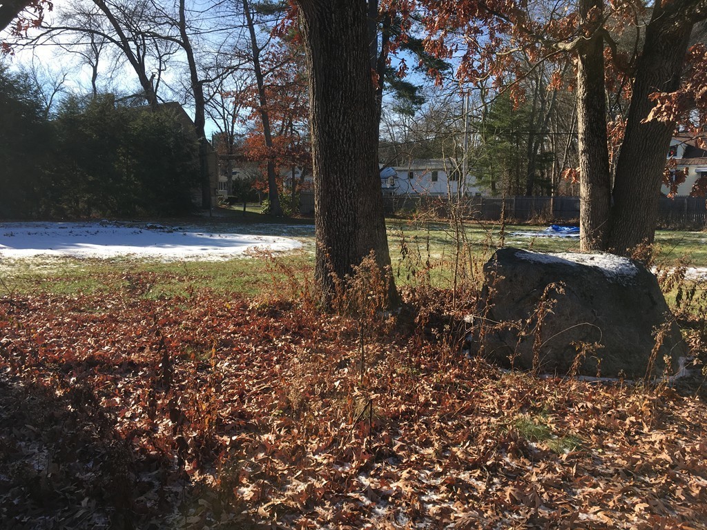9 Seminole Road Billerica, MA 01821 - Photo 5 of 5