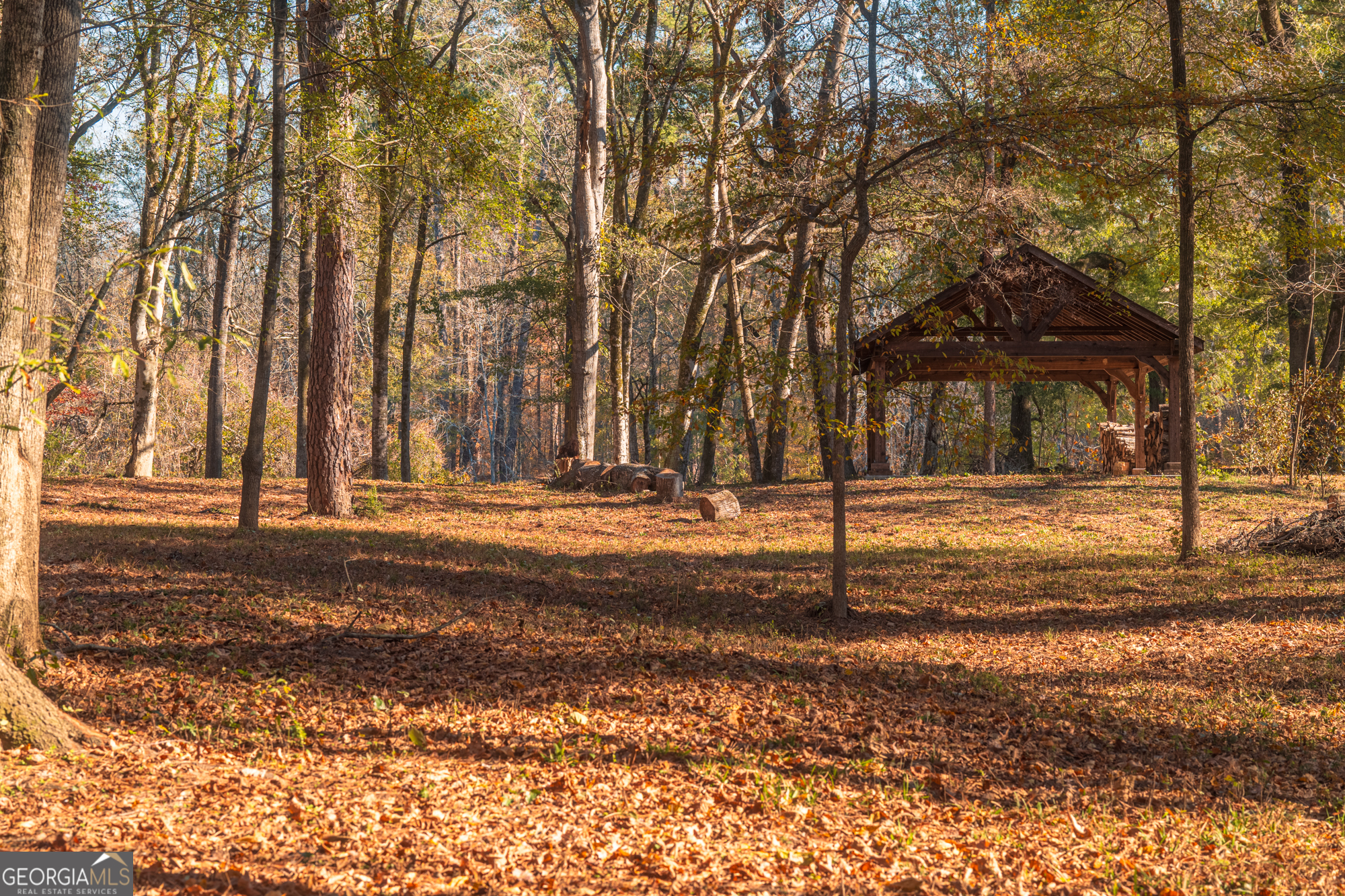 464 Old Dames Ferry Road Juliette, GA 31046 - Photo 2 of 9