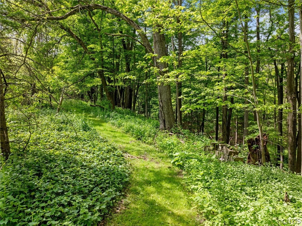 9217 Red Hill Road New Hartford, NY 13413 - Photo 41 of 49