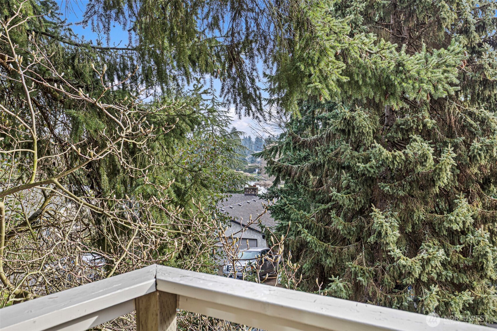 32321 44th Place Southwest Federal Way, WA 98023 - Photo 13 of 37 a view of a yard