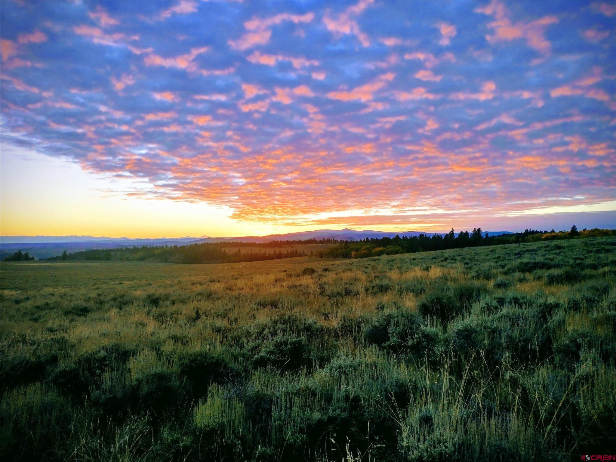 a view of an ocean and beach
