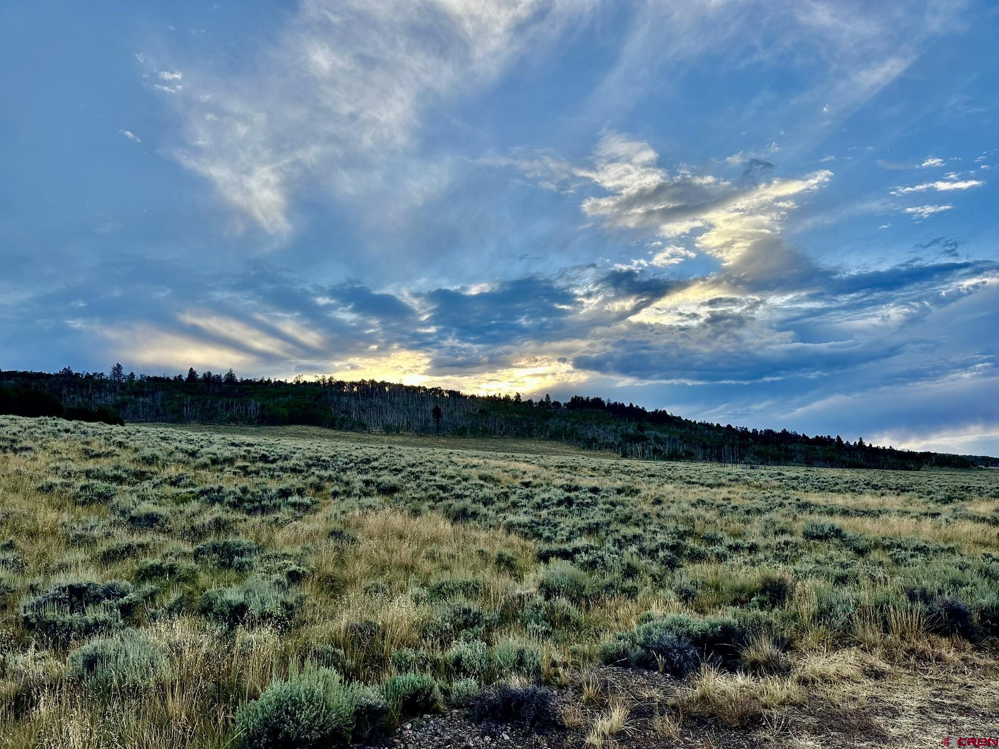 Tbd Monarch Lane Powderhorn, CO 81243 - Photo 11 of 17 a view of a big yard with lots of green space
