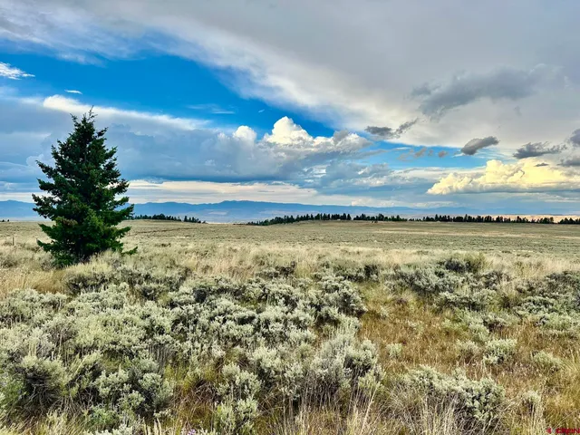 a view of a lake in middle of forest