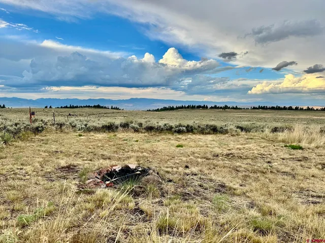 a bathroom with a shower and a shower head
