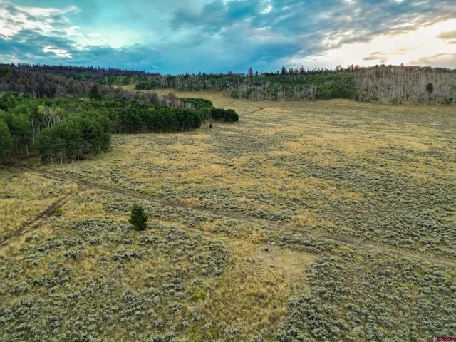 a view of a green field