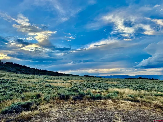 a view of a lake from a yard