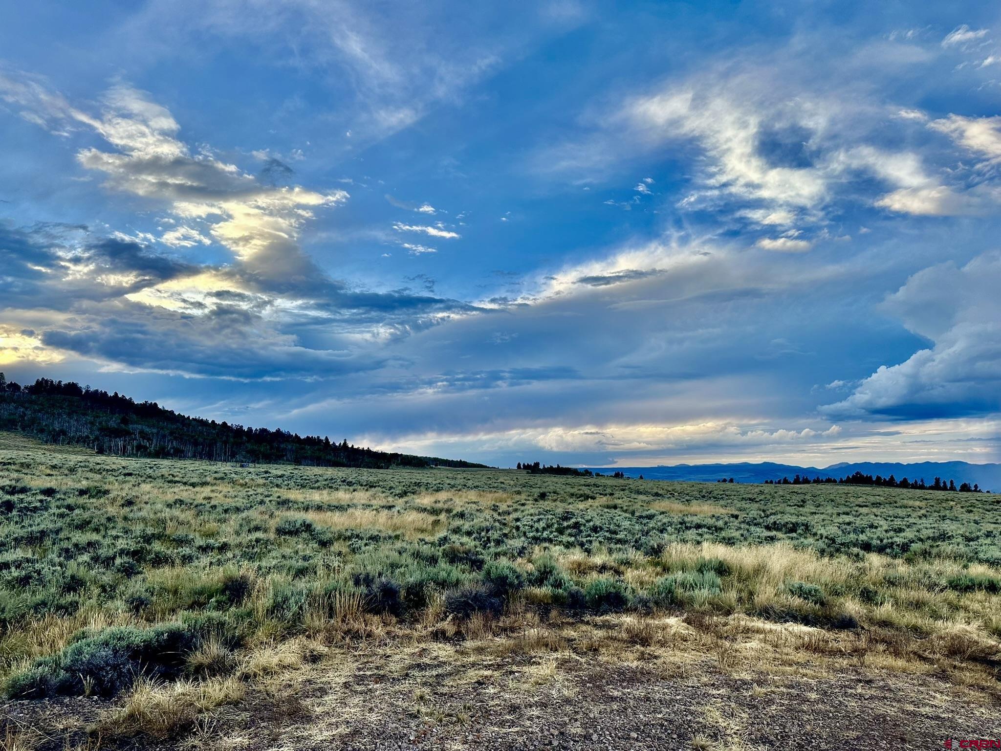 Tbd Monarch Lane Powderhorn, CO 81243 - Photo 5 of 17 a view of a green field