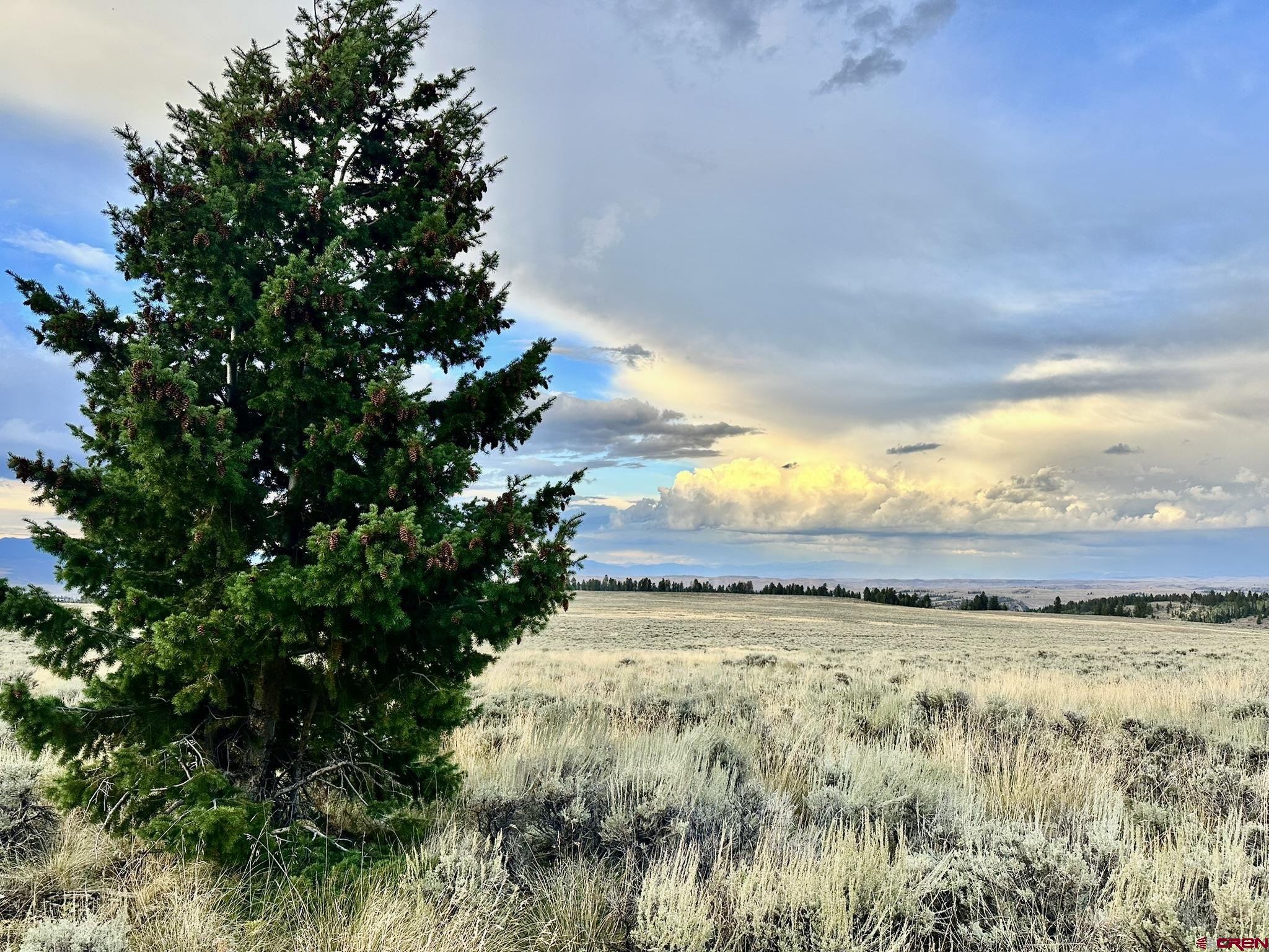 Tbd Monarch Lane Powderhorn, CO 81243 - Photo 6 of 17 a view of an outdoor space and a lake view