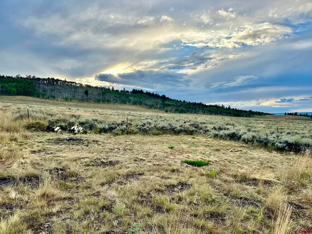 a view of a pathway both side of yard