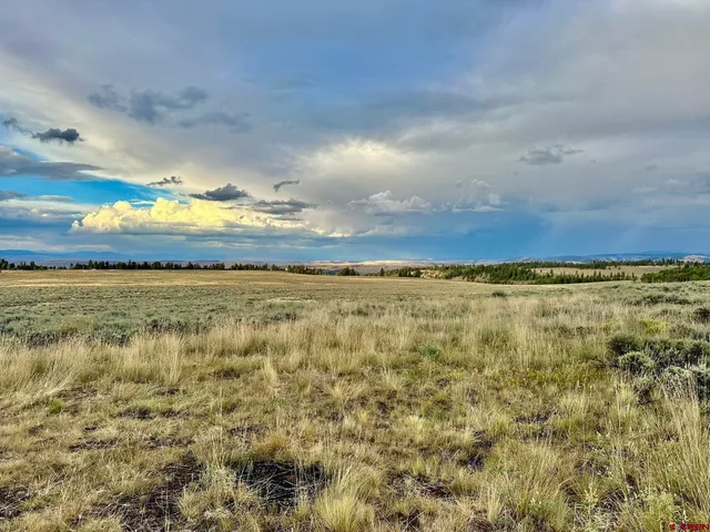 a view of a big yard with lots of green space