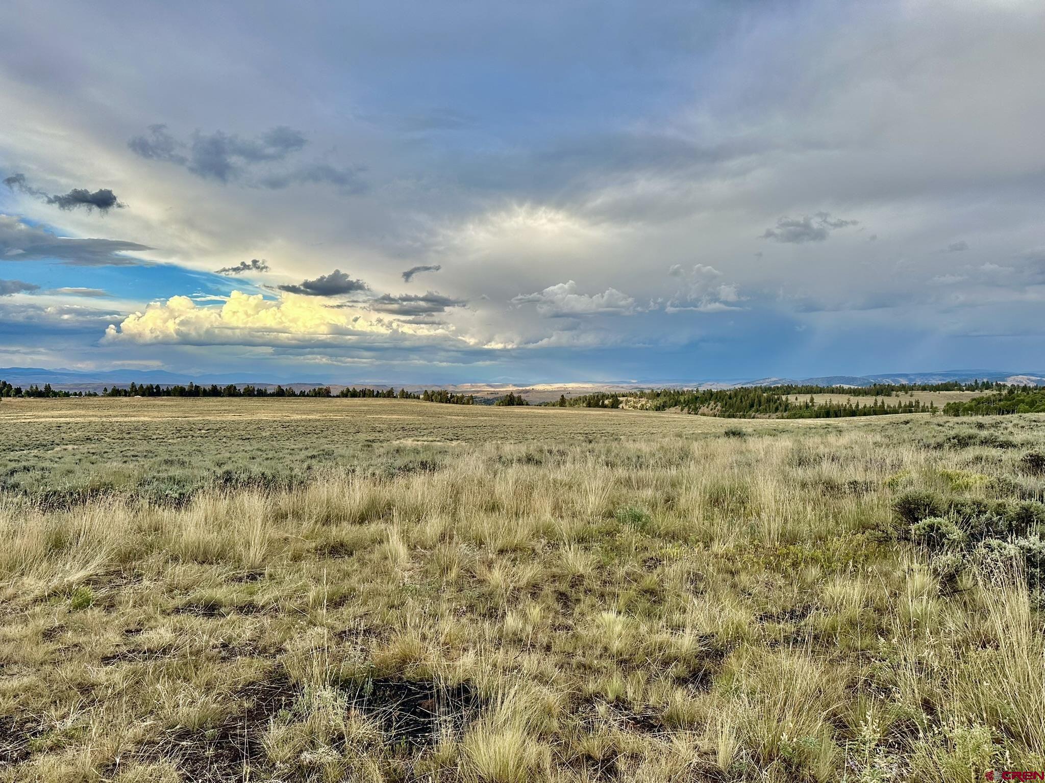 Tbd Monarch Lane Powderhorn, CO 81243 - Photo 8 of 17
