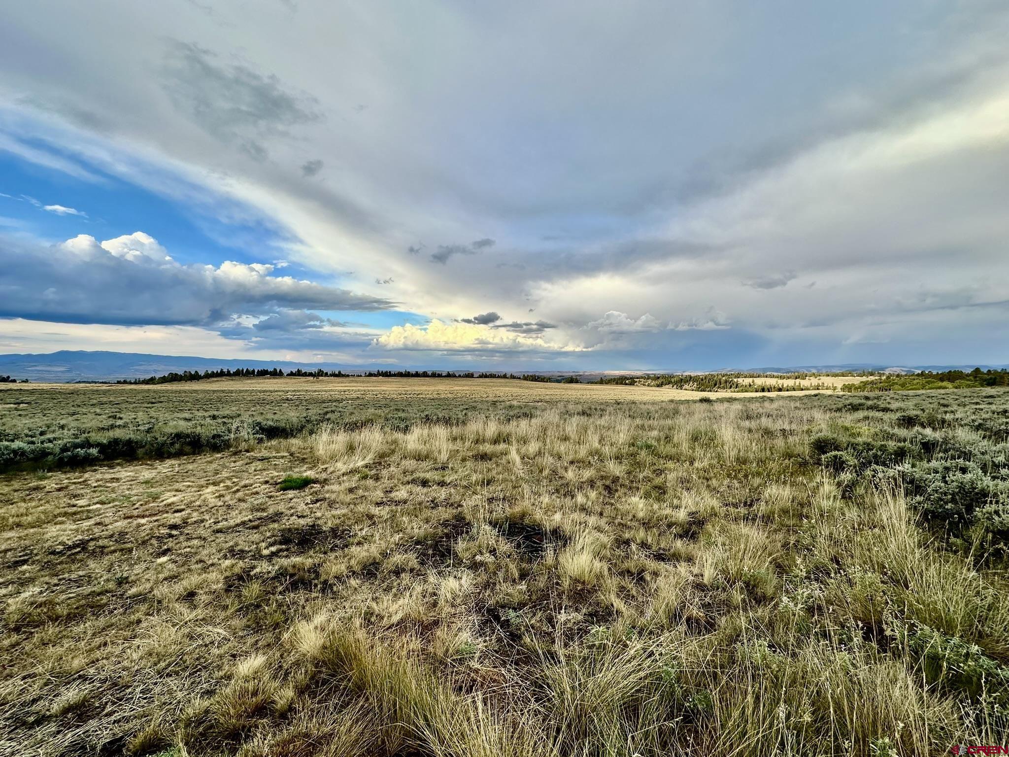 Tbd Monarch Lane Powderhorn, CO 81243 - Photo 9 of 17 a view of an ocean