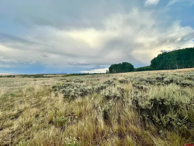 a view of an ocean beach