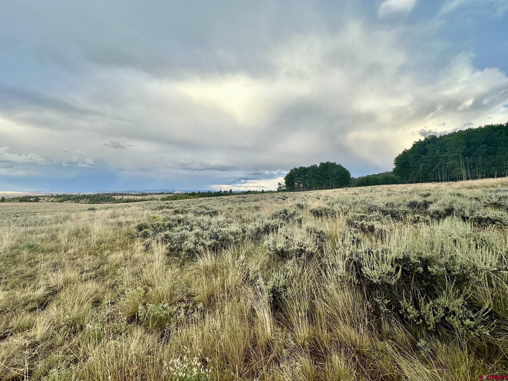 Tbd Monarch Lane Powderhorn, CO 81243 - Photo 10 of 17 a view of a pathway both side of yard