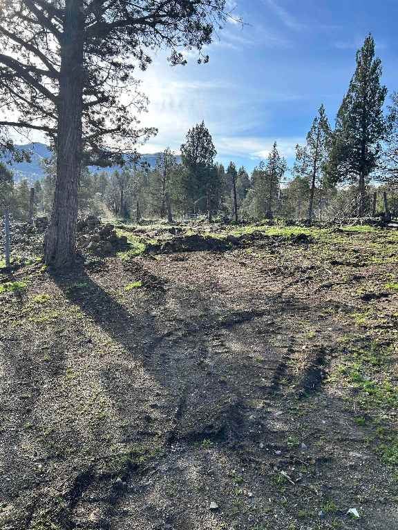 7630 Whitepine Road Montague, CA 96064 - Photo 4 of 23 Gallery Image 4