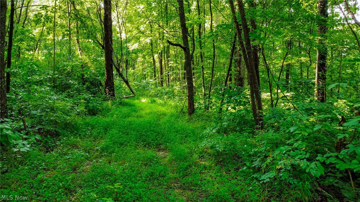 Ogles Ridge Road Dexter City, OH 45727 - Photo 45 of 48