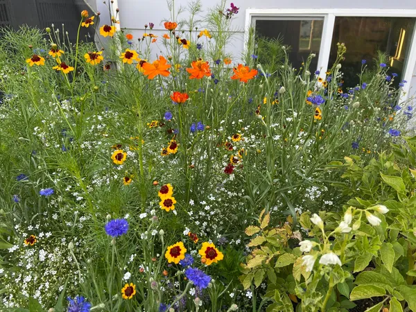 a backyard of a house with flowers