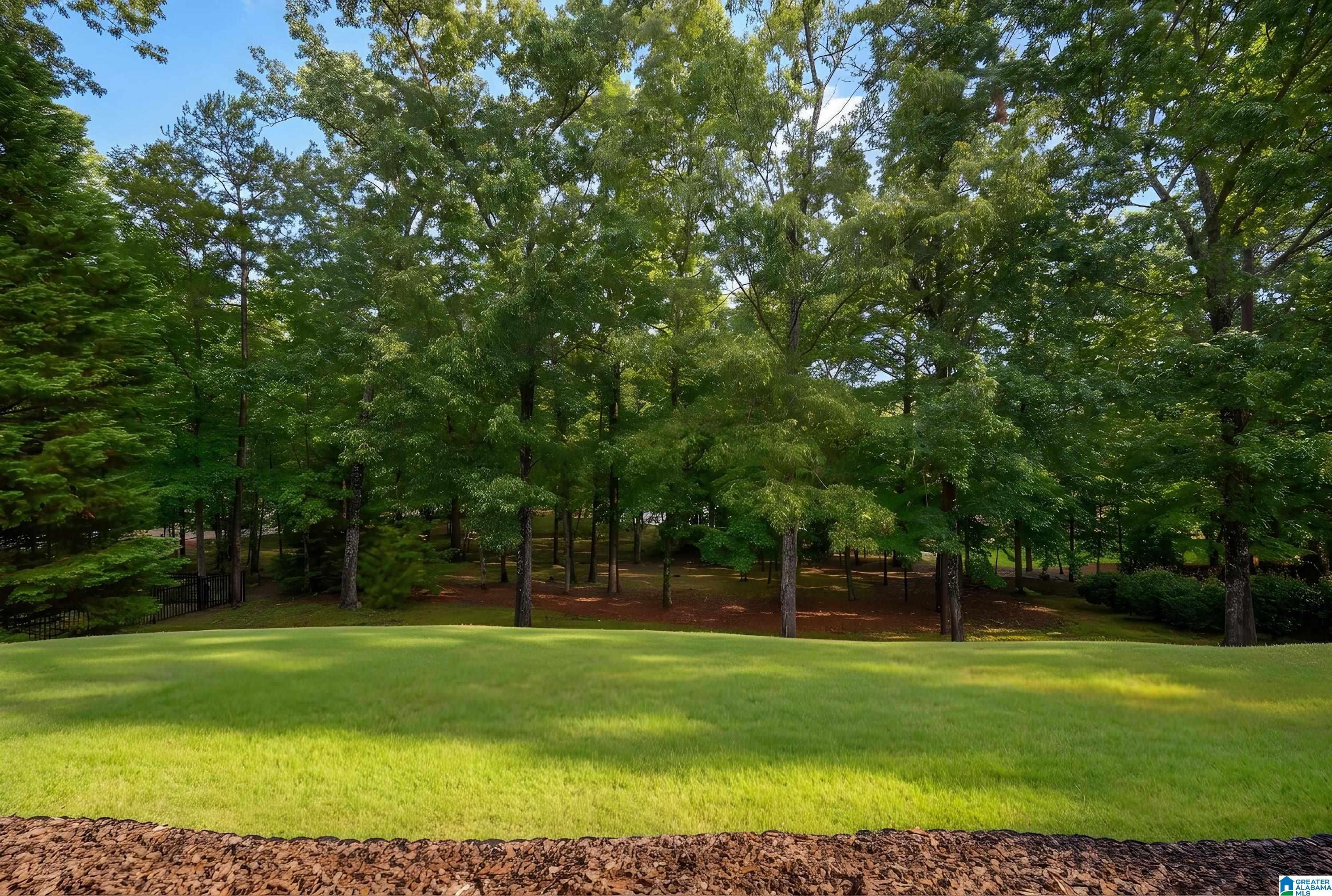 420 Ramsay Road Birmingham, AL 35242 - Photo 72 of 73