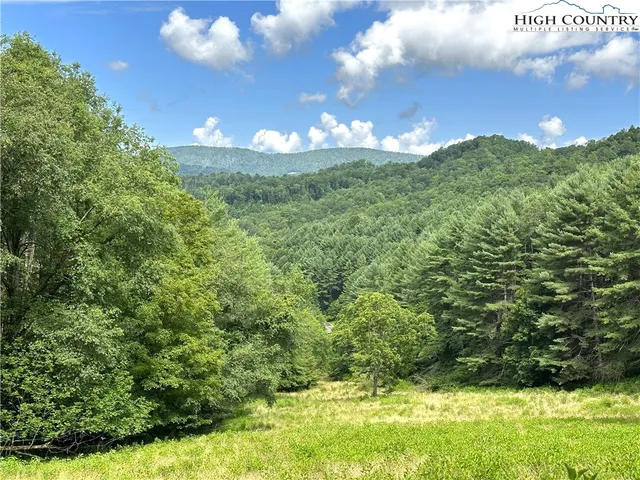 a view of a big yard