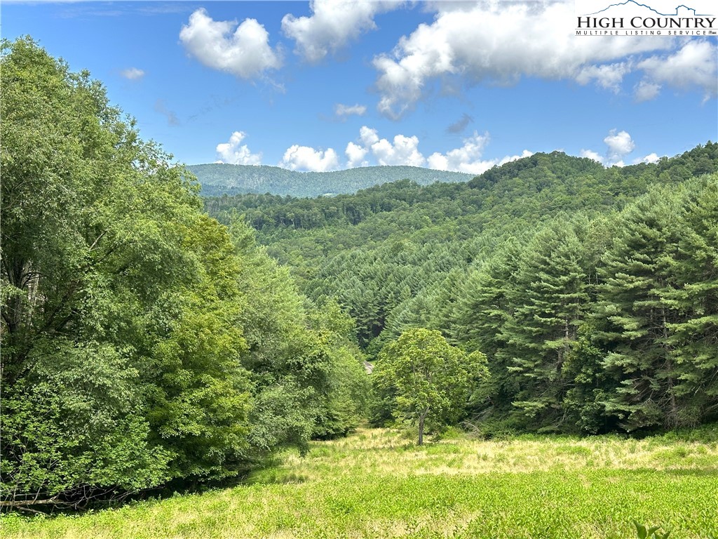 226 Loves Knob Road Sugar Grove, NC 28679 - Photo 19 of 50