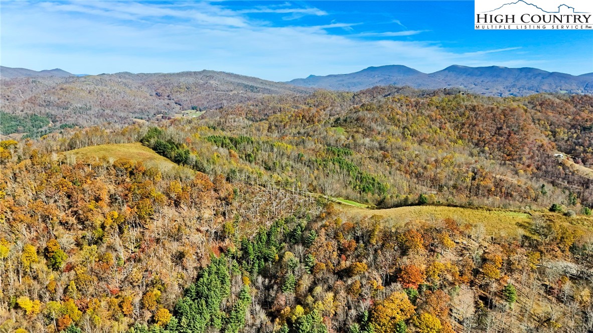 226 Loves Knob Road Sugar Grove, NC 28679 - Photo 20 of 50