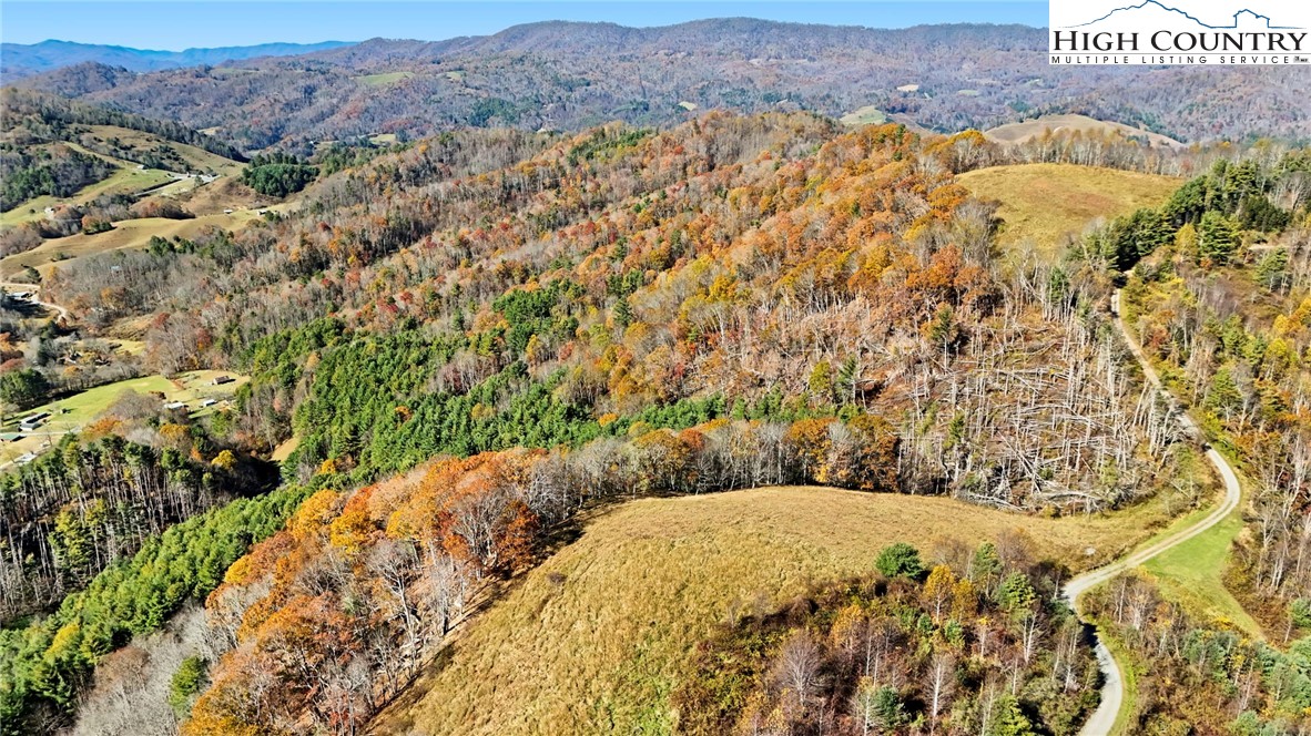 226 Loves Knob Road Sugar Grove, NC 28679 - Photo 21 of 50