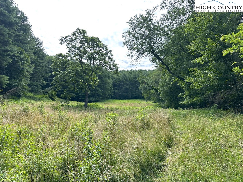 226 Loves Knob Road Sugar Grove, NC 28679 - Photo 25 of 50