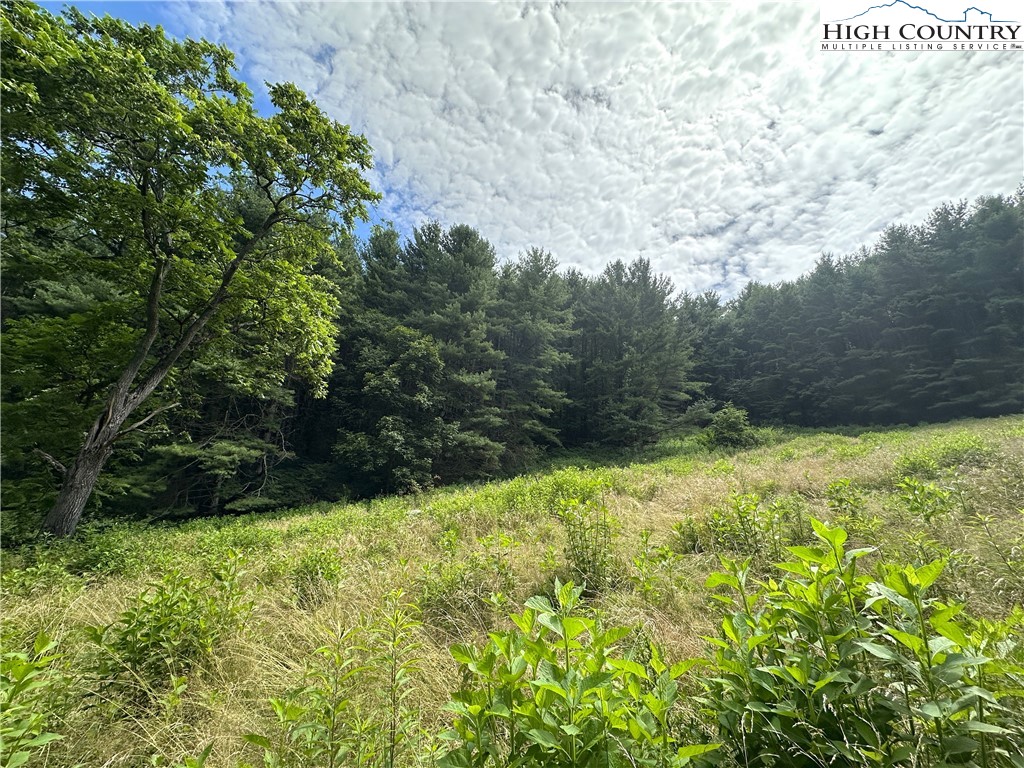 226 Loves Knob Road Sugar Grove, NC 28679 - Photo 26 of 50