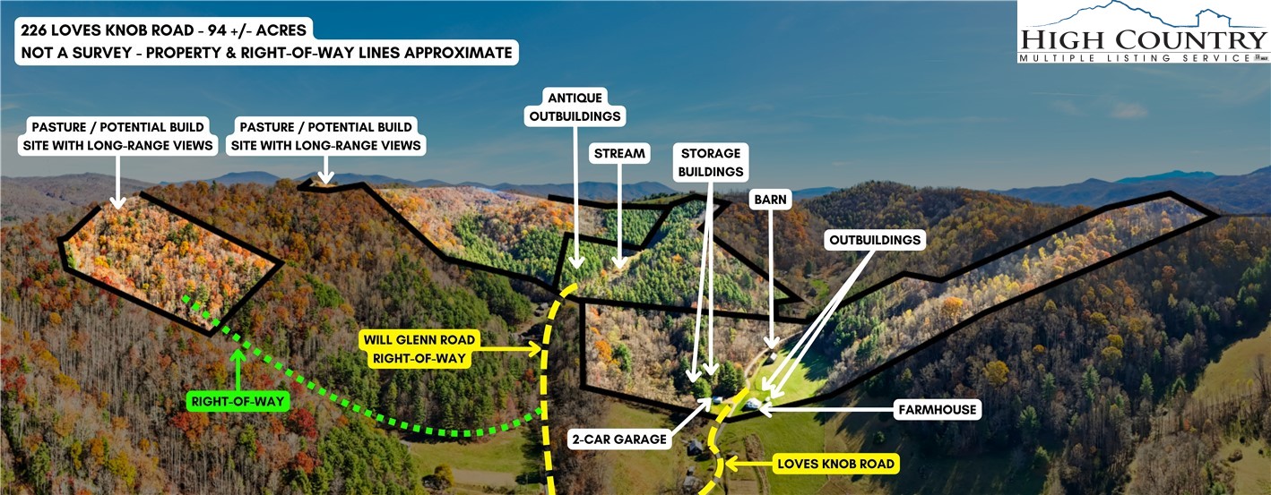 226 Loves Knob Road Sugar Grove, NC 28679 - Photo 3 of 50