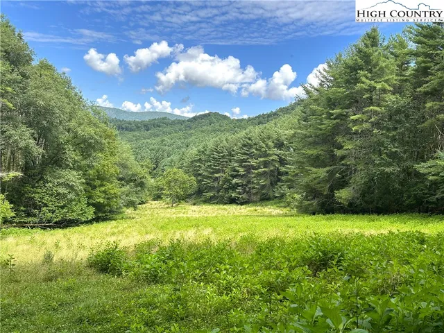 a view of a big yard with lots of green space