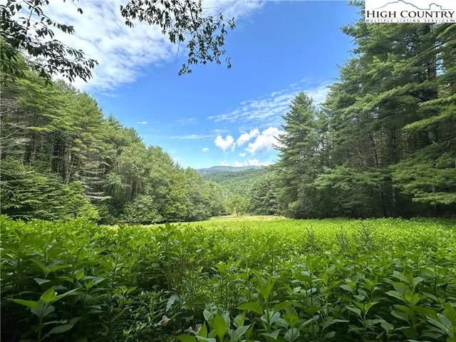 a view of yard with green space