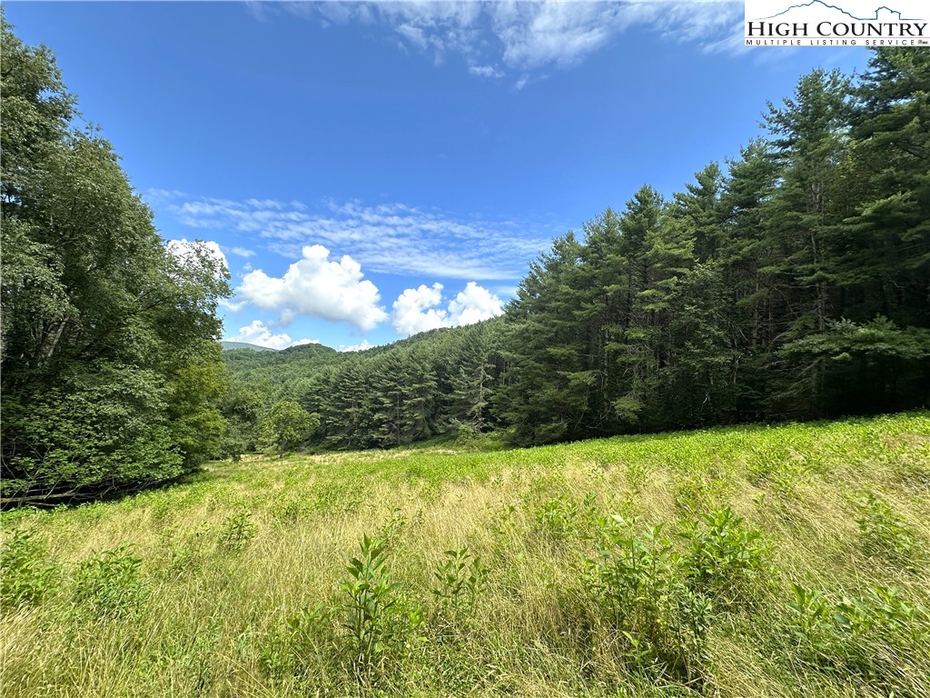 226 Loves Knob Road Sugar Grove, NC 28679 - Photo 6 of 50