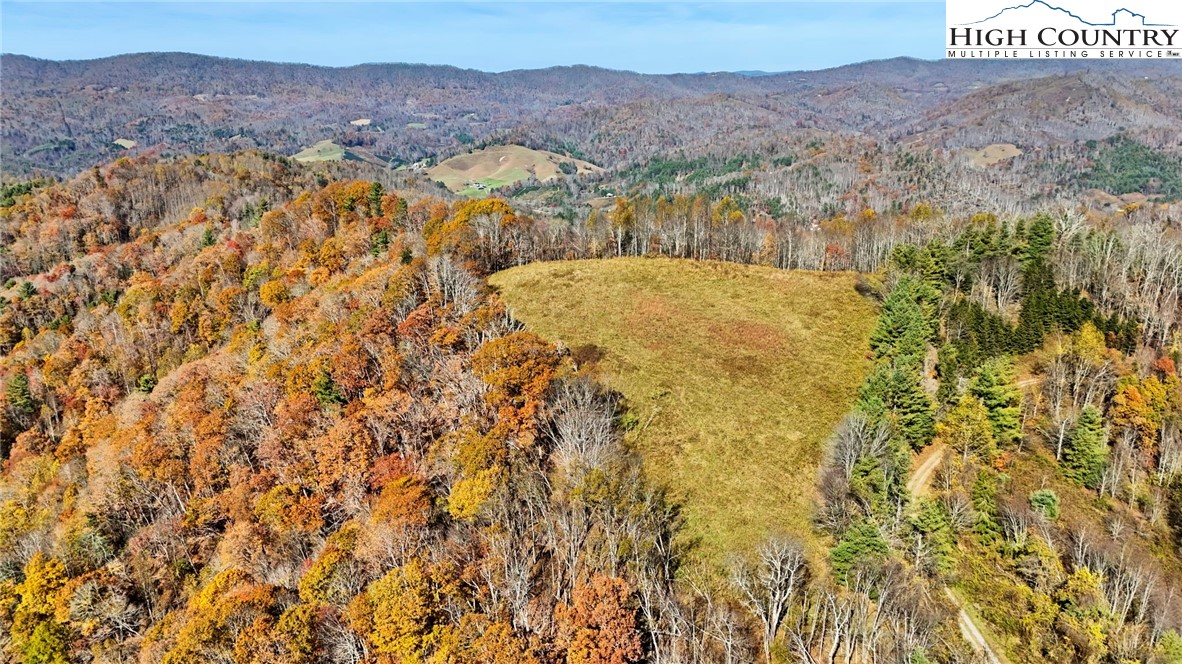 226 Loves Knob Road Sugar Grove, NC 28679 - Photo 8 of 50