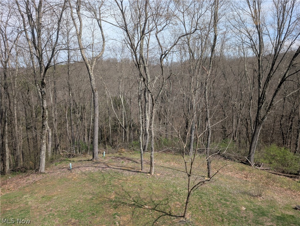 10073 Dunlap Road Cambridge, OH 43725 - Photo 48 of 49 back yard