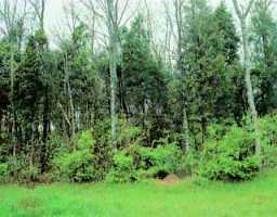 125 Turner Ridge Road, Unit LOT125 Crestwood, KY 40014 - Photo 1 of 1 Primary Photo