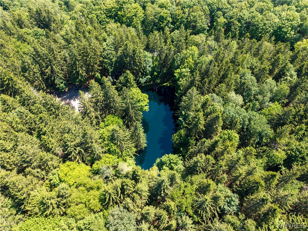 3367 Dunham Road Orangeville, NY 14569 - Photo 11 of 50 Overhead Drone view