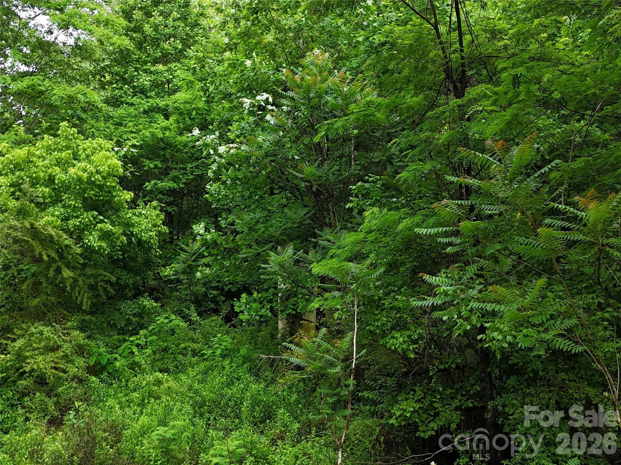 83 Shanty Town Road Old Fort, NC 28762 - Photo 7 of 16