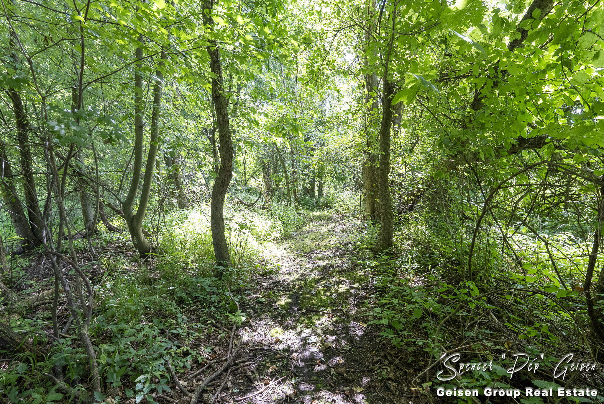 7041 Ingalls Road Belding, MI 48809 - Photo 44 of 63 44-web-or-mls-7041-ingalls-rd
