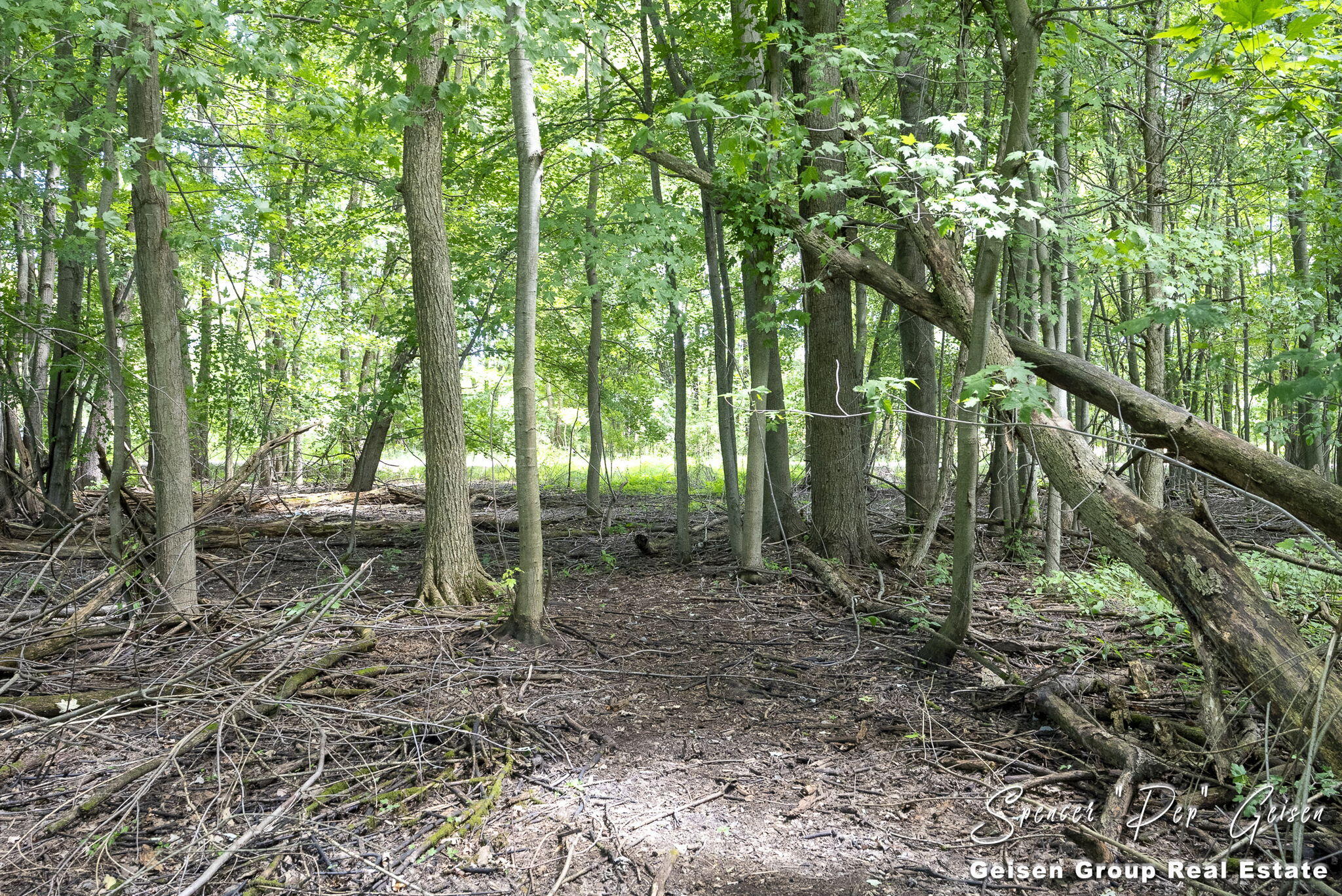 7041 Ingalls Road Belding, MI 48809 - Photo 46 of 63 46-web-or-mls-7041-ingalls-rd
