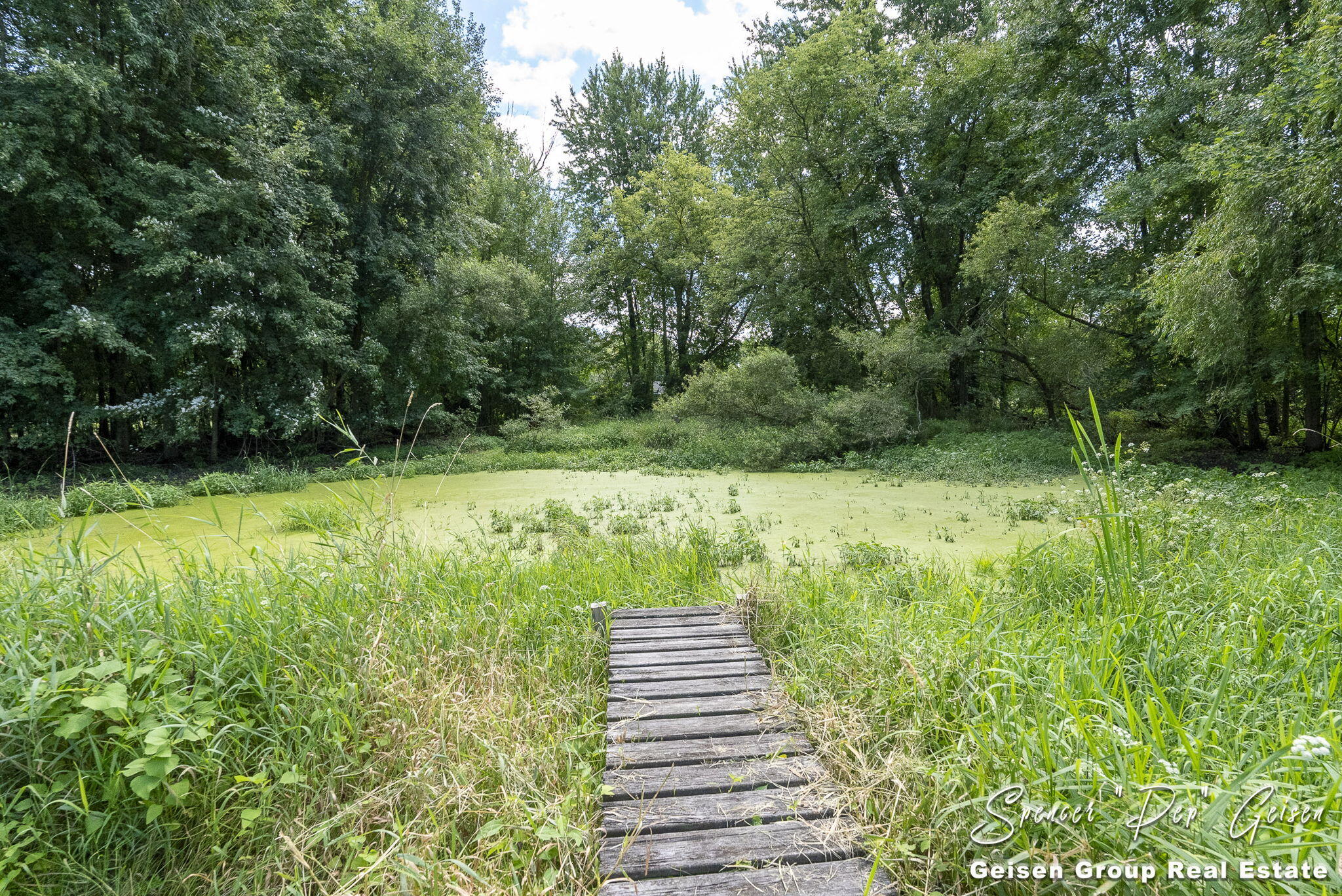 7041 Ingalls Road Belding, MI 48809 - Photo 48 of 63 48-web-or-mls-7041-ingalls-rd