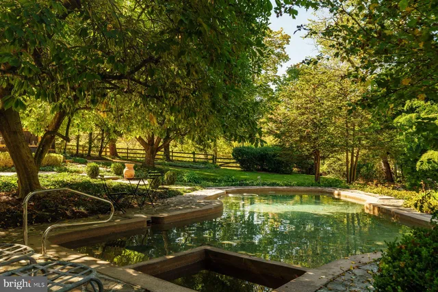 a view of yard with tree