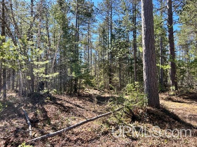 61 Little Rice Lk Road Lake Linden, MI 49945 - Photo 28 of 29