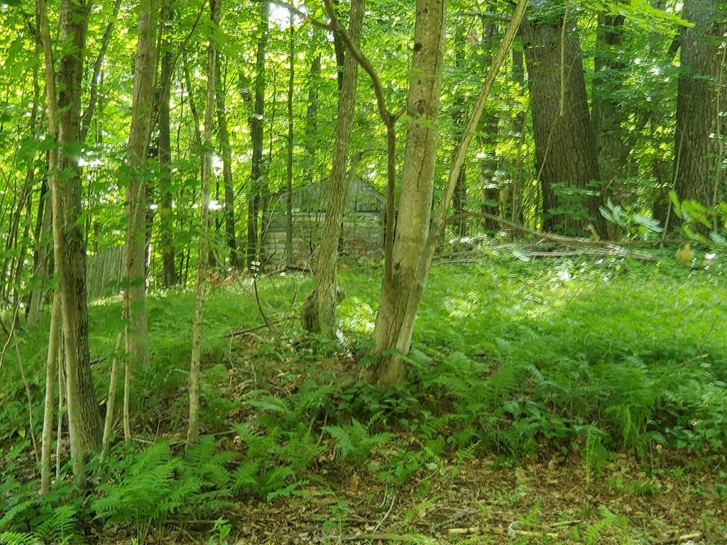 15 Redstone Hill Road Sterling, MA 01564 - Photo 2 of 21 Gallery Image 2