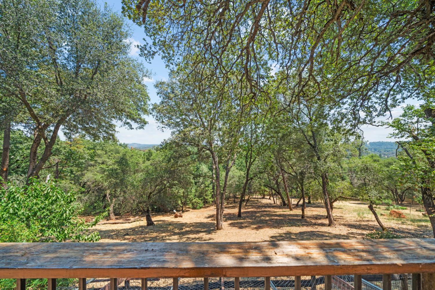 24769 Ridge Top Court Auburn, CA 95602 - Photo 5 of 52