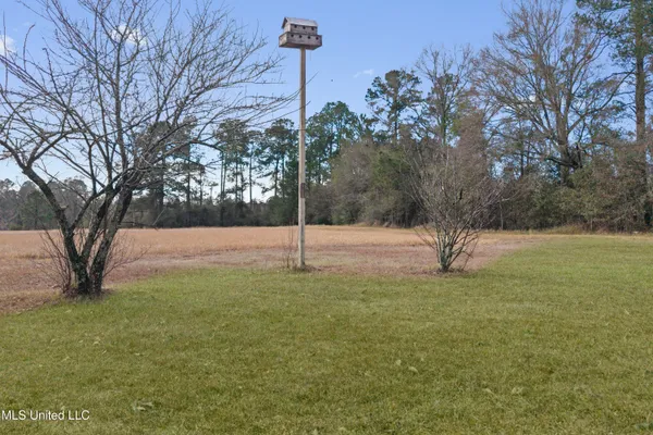$1,500 | 373 Chill Churchwell Loop, Lucedale, MS 39452