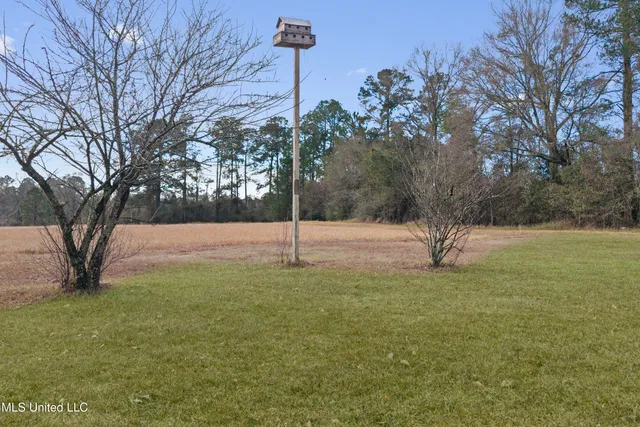 $1,500 | 373 Chill Churchwell Loop, Lucedale, MS 39452