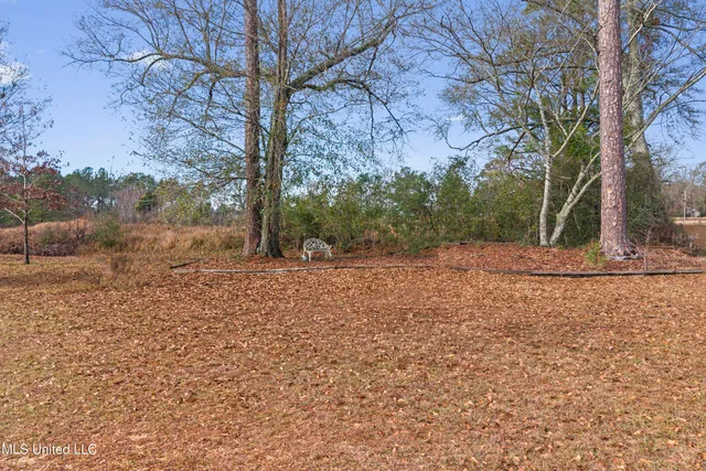 $1,500 | 373 Chill Churchwell Loop, Lucedale, MS 39452