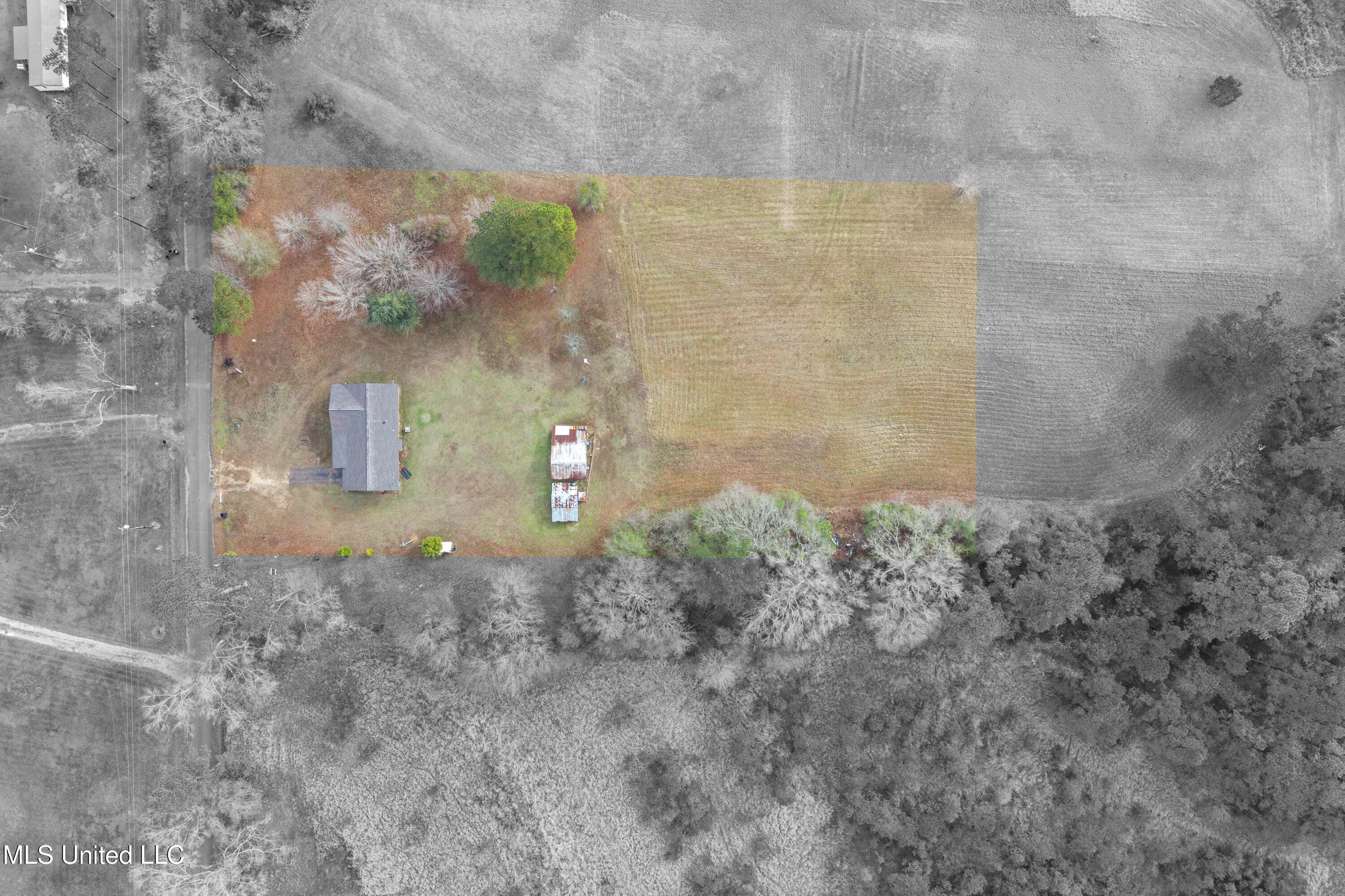 373 Chill Churchwell Loop Lucedale, MS 39452 - Photo 40 of 50 0040