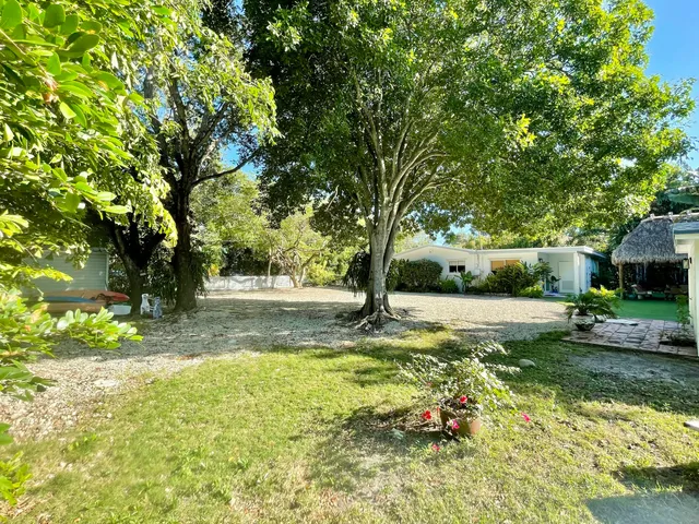a view of backyard with tree